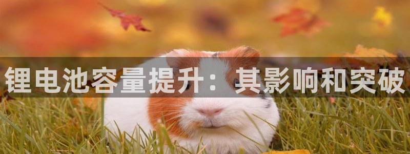 尊龙凯时d5138