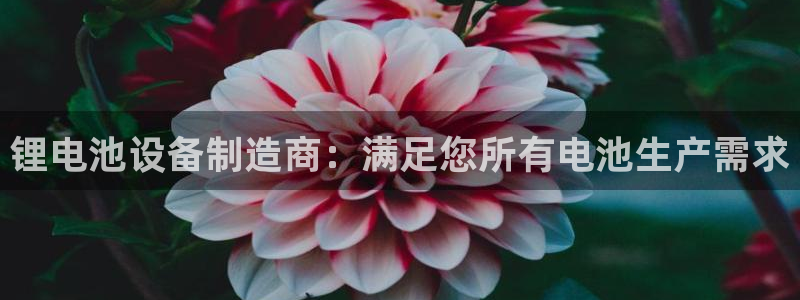 尊龙凯时人生就是搏技术实力