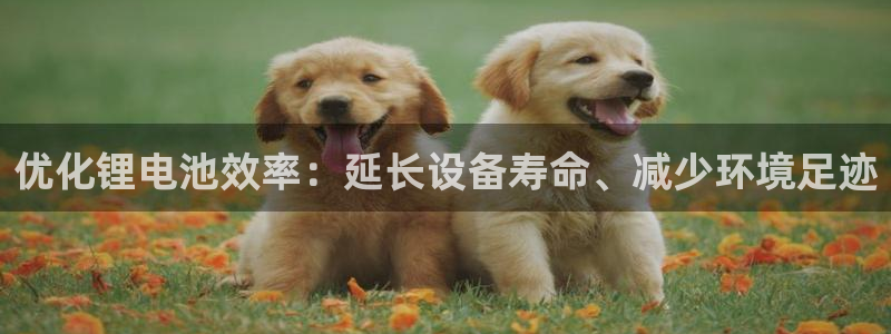 尊龙凯时是大平台吗