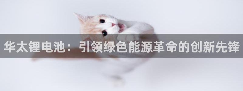 ag尊龙官方网站app