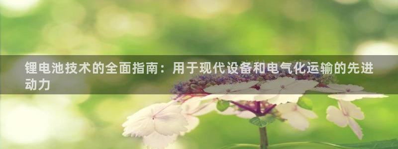 尊龙凯时怎么注销账号