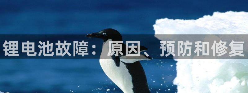 尊龙凯时电竞