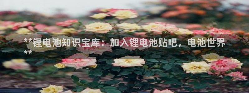 尊龙d88官网选RA来就送38