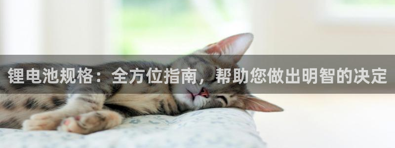 凯时国际网站域名