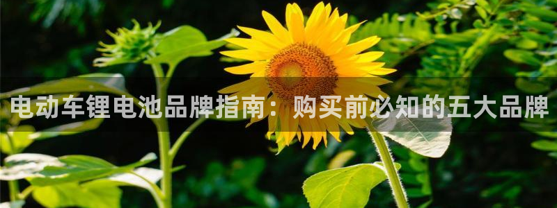 尊龙人生就是博旧版网址