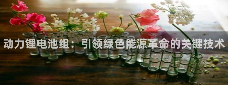 凯时网址多少