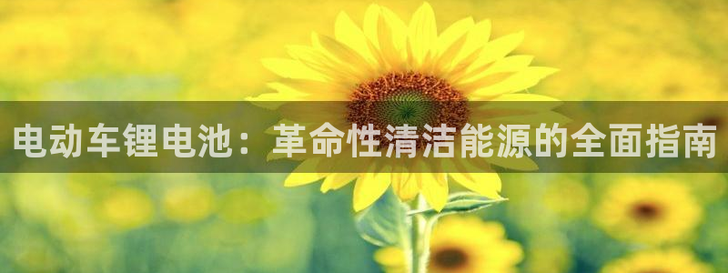尊龙凯时·中国官方网站