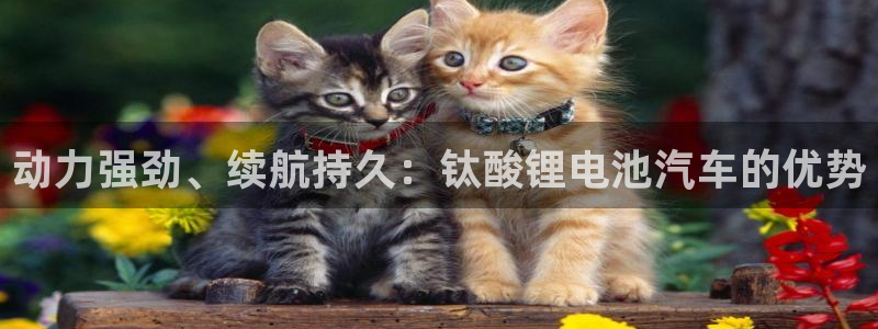 尊龙凯时官网网址