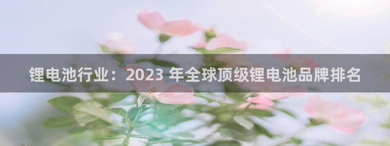 ag尊龙凯时集团