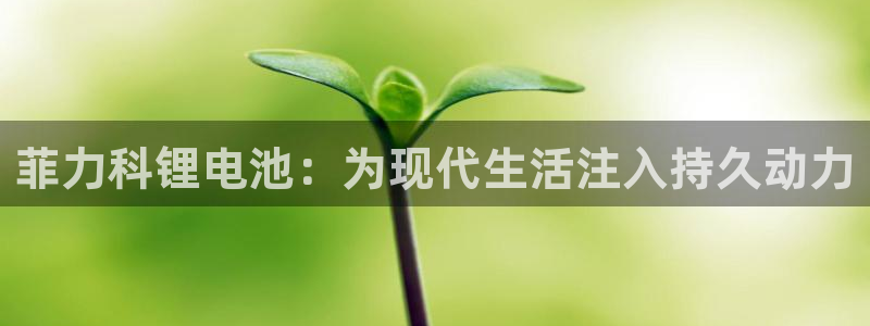 尊龙人生就是博首页入口