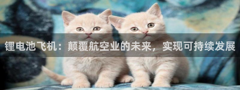 凯时国际平台有人赢吗