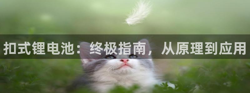 尊龙ag旗舰厅官网官方入口