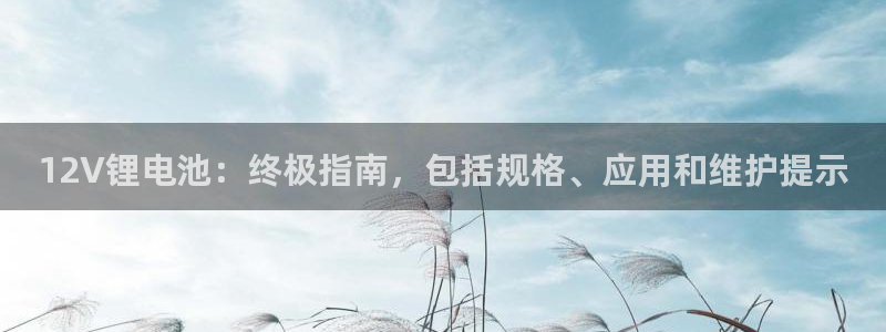 尊龙网平台