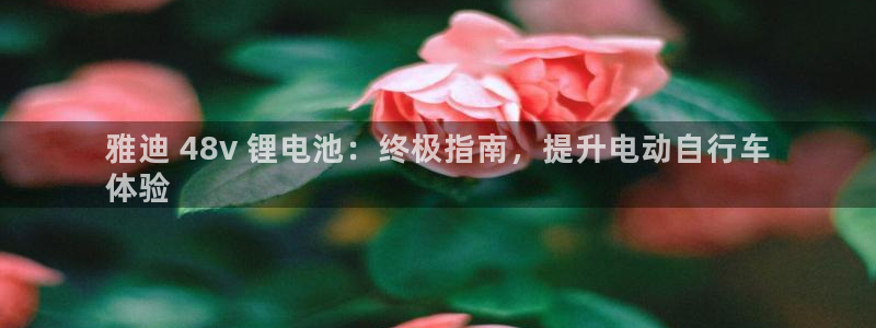 尊龙凯时不朽情缘
