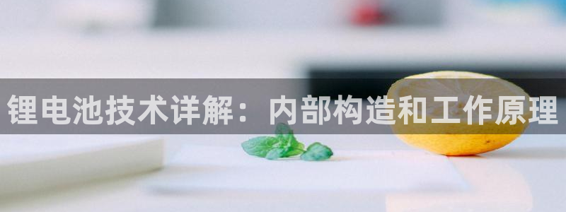 尊龙凯时有限公司