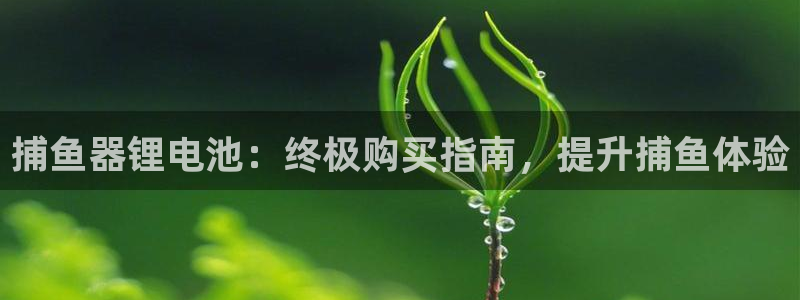 尊龙凯时登陆入口