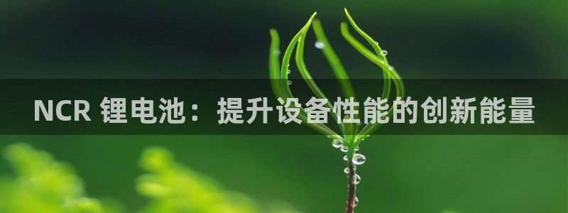 尊龙凯时z6官网