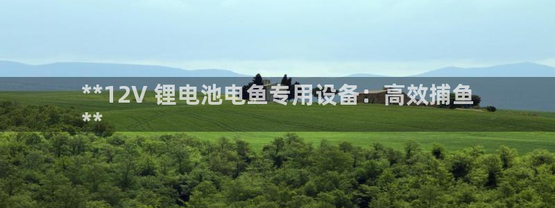 尊龙集团有限公司是国企吗