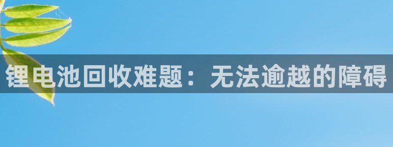尊龙官网手