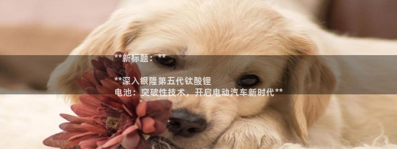 尊龙凯时代理能提出来不