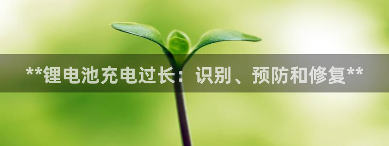 尊龙凯时ag旗舰厅登陆