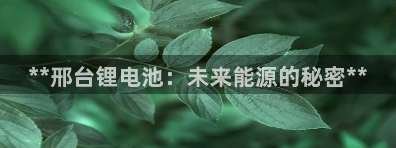 尊龙凯时福米推荐人