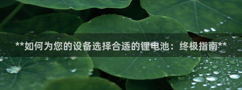 尊龙凯时下载人生就是博