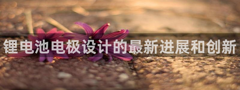 尊龙app官网登录