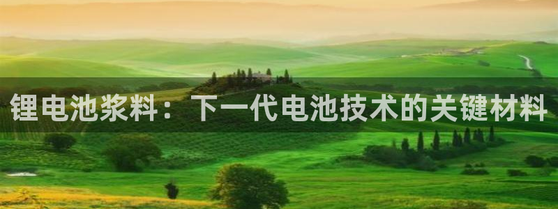 尊龙凯时和九游会哪个平台好一点