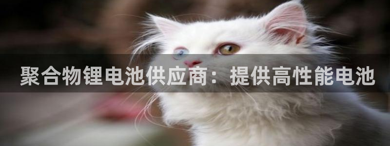 尊龙凯时平台还是万搏好