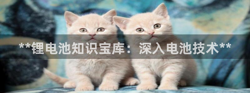 尊龙z6网址