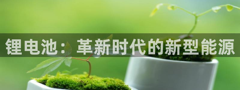 尊龙app|首选agdaohang
