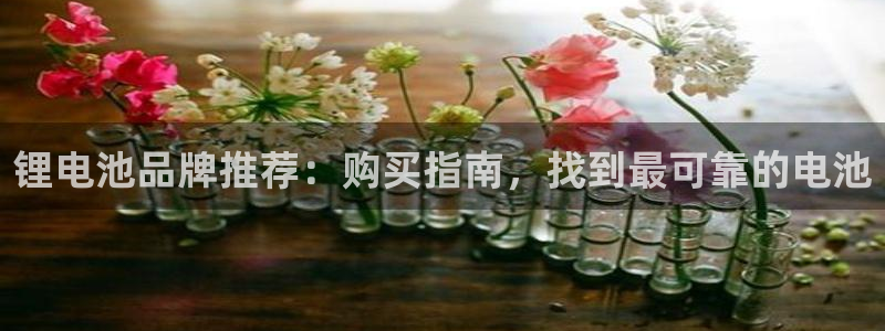 凯时官网：锂电池品牌推荐：购买指南，找到最可靠的电池