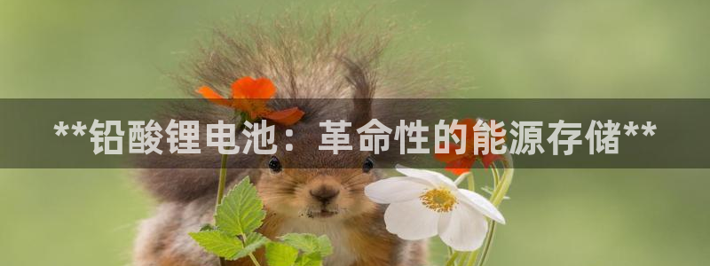 尊龙人生就是博现金