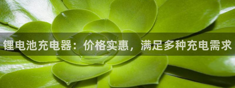尊龙凯时官方网站
