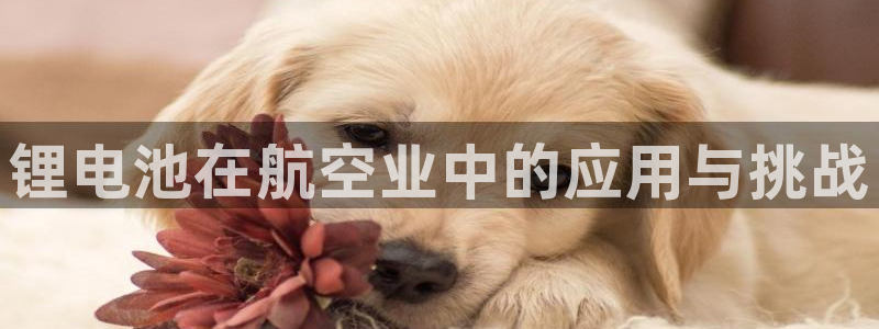 尊龙凯时最新平台登陆
