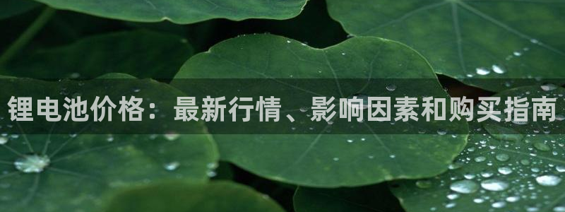 尊龙官网免费下载安卓