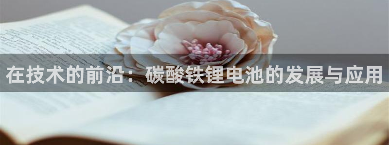 尊龙凯时下载人生就是博