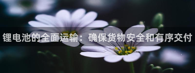 尊龙人生就是博旧版网址