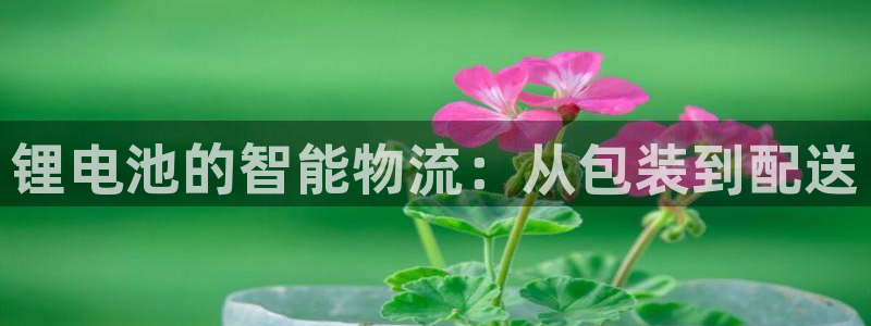 尊龙手机客户端下载