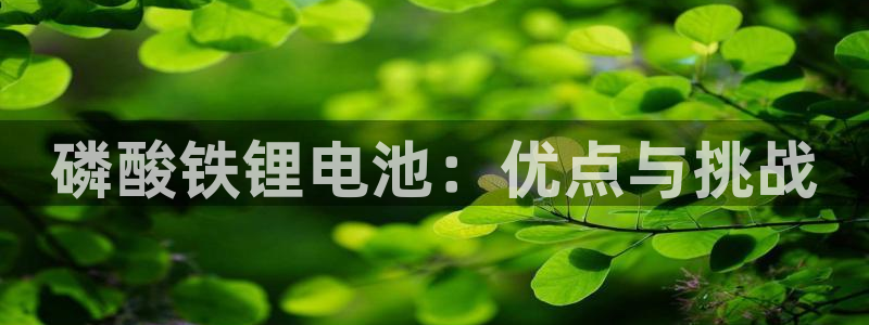 尊龙凯时登入首页