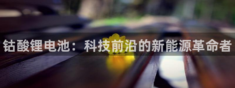尊龙凯时人生就是搏官