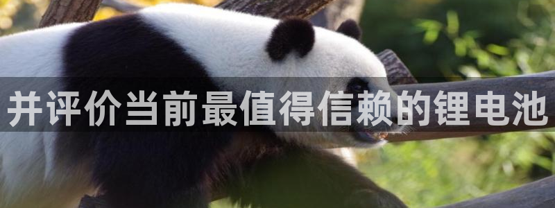 尊龙凯时凯发官网