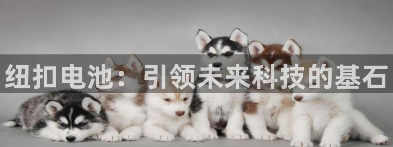 尊龙凯时app官方网站