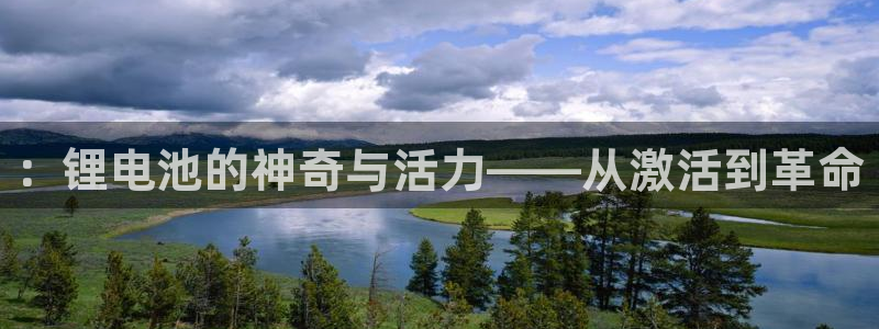 尊龙官网