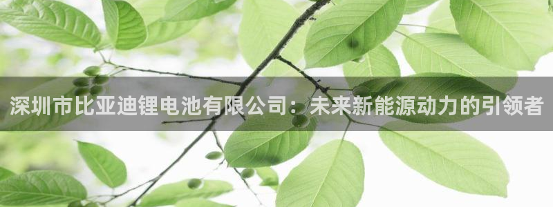 尊龙凯时logo