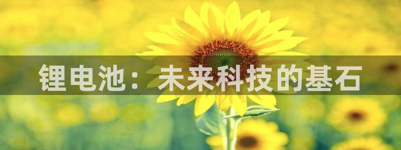 尊龙人生就是博客服