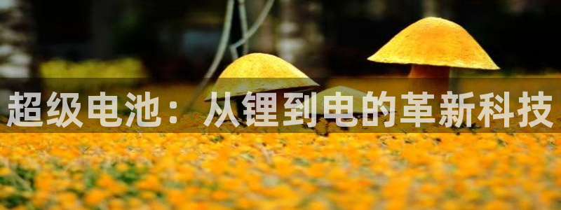 z6尊龙凯时官方