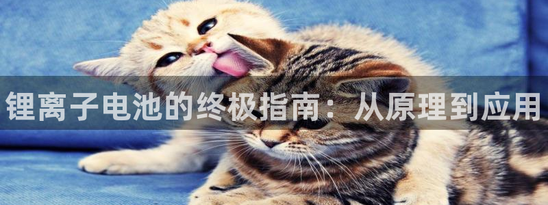 尊龙实业有限公司是正规还是仿：锂离子电池的终极指南：从原理到应用