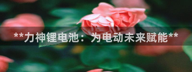 尊龙旗舰厅